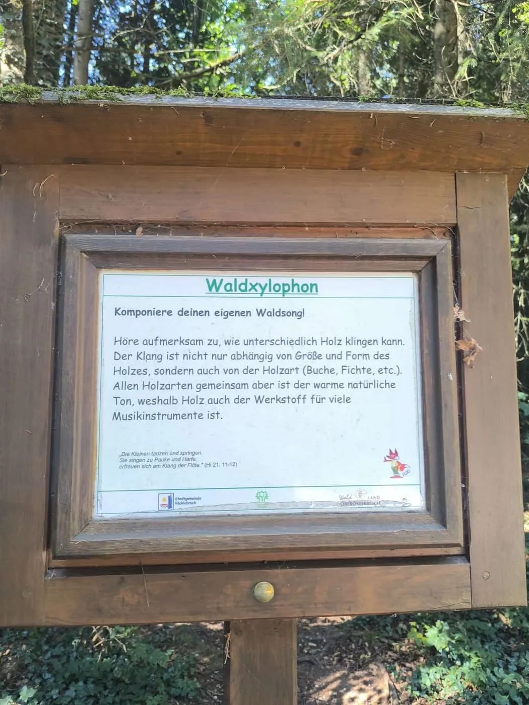 Infotafel zum Waldxylophon: Komponiere deinen eigenen Waldsong