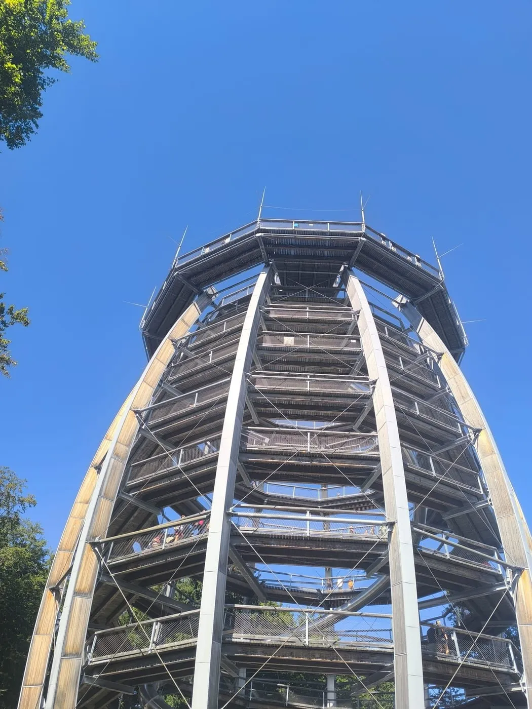 Der Aussichtsturm des Baumwipfelpfads von unten, mit umlaufenden Rampen