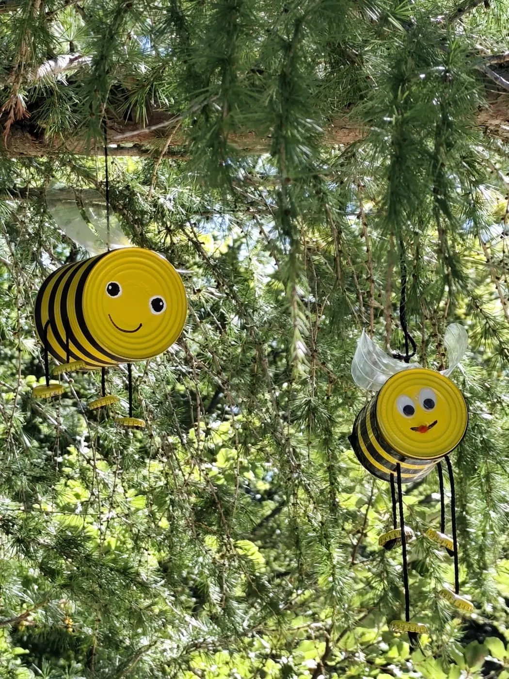 Zwei Bienen aus Konservendosen hängen in einem Lärchenast