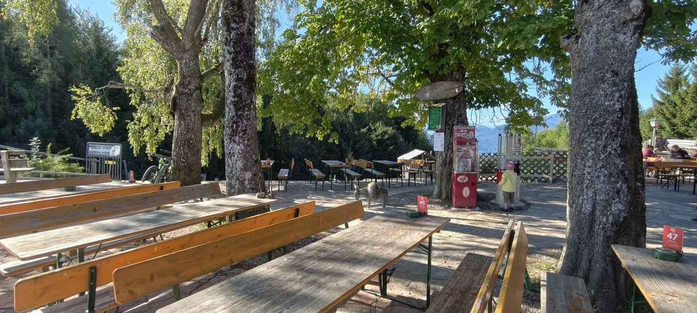 Der schattige Gastgarten der Grünbergalm mit Bierbänken unter alten Kastanienbäumen