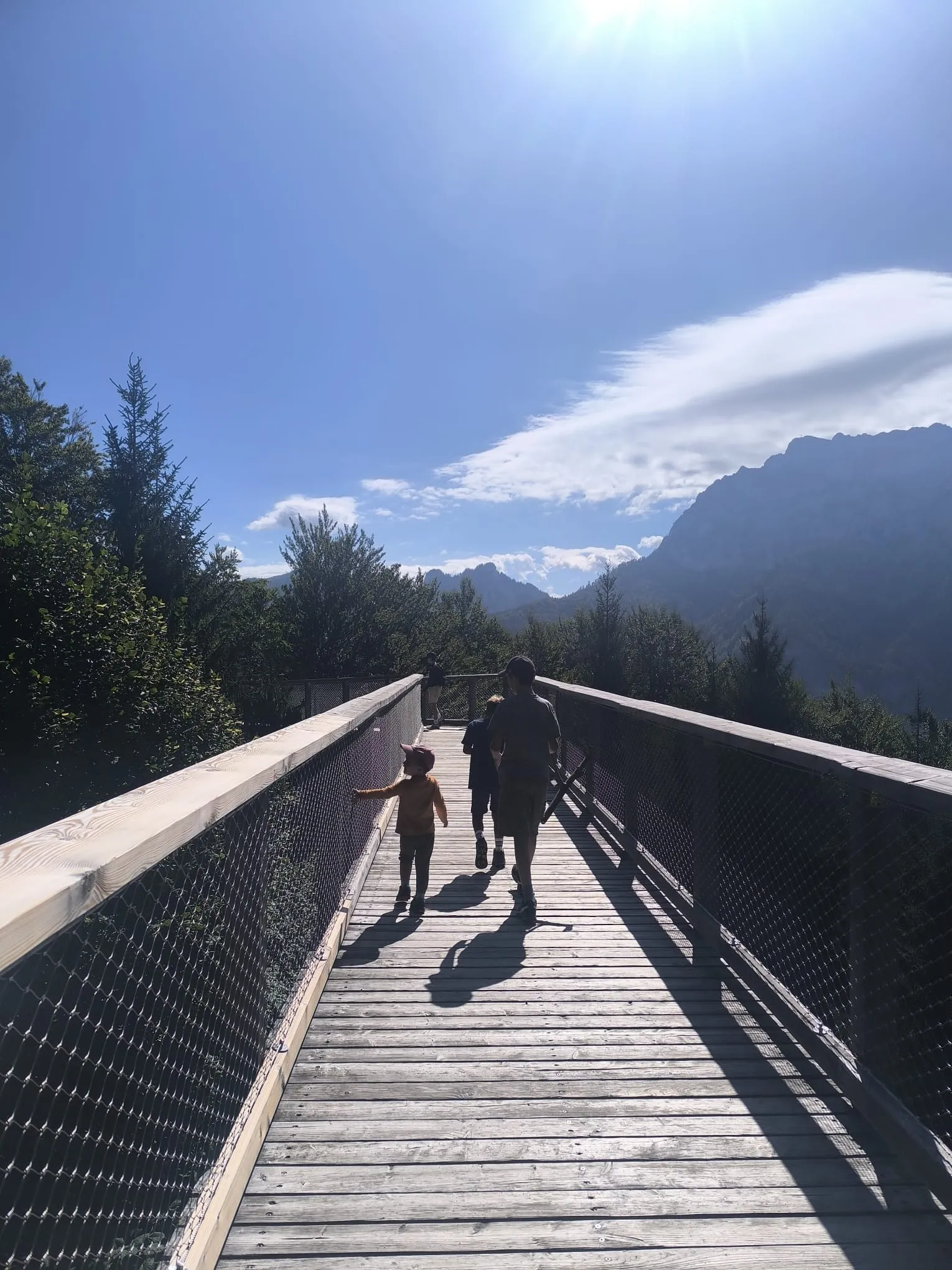 Der Holzsteg des Baumwipfelpfads führt auf die Berge des Salzkammerguts zu