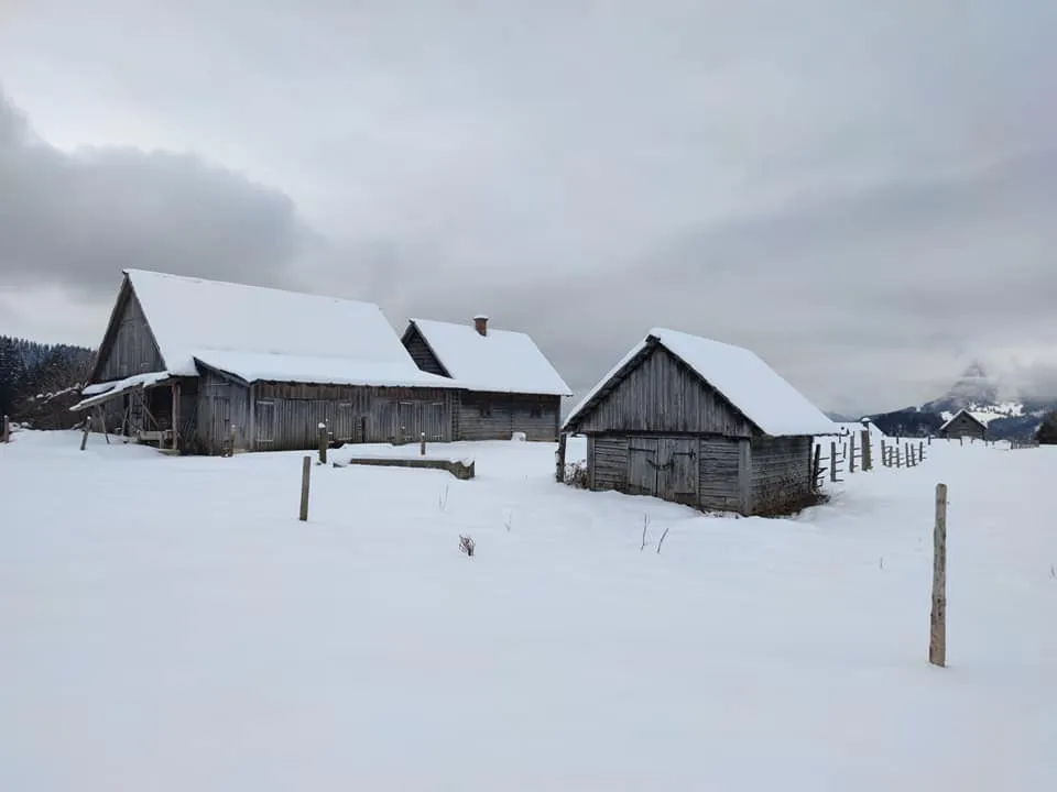 Hinteregger Alm (1150m)