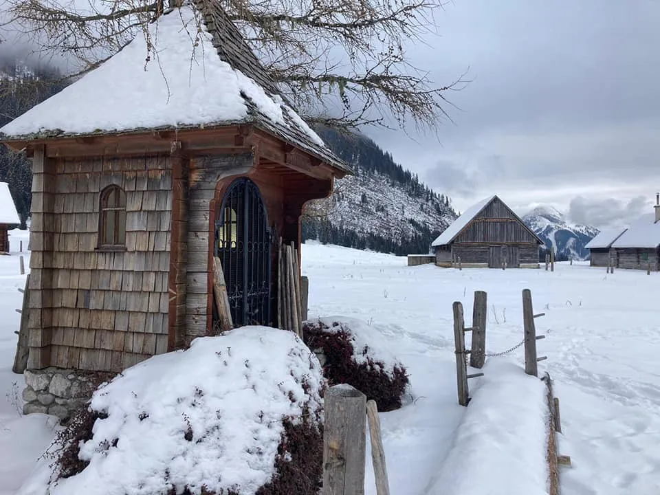 Hinteregger Alm (1150m)