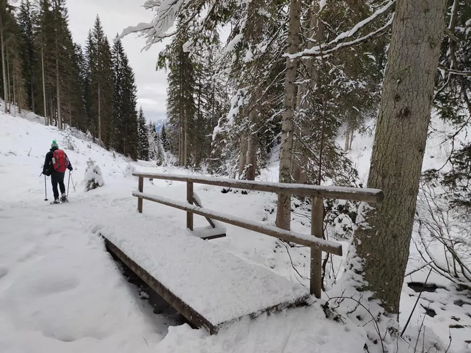 Hinteregger Alm (1150m)