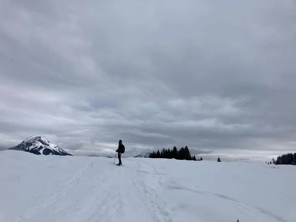 Hinteregger Alm (1150m)