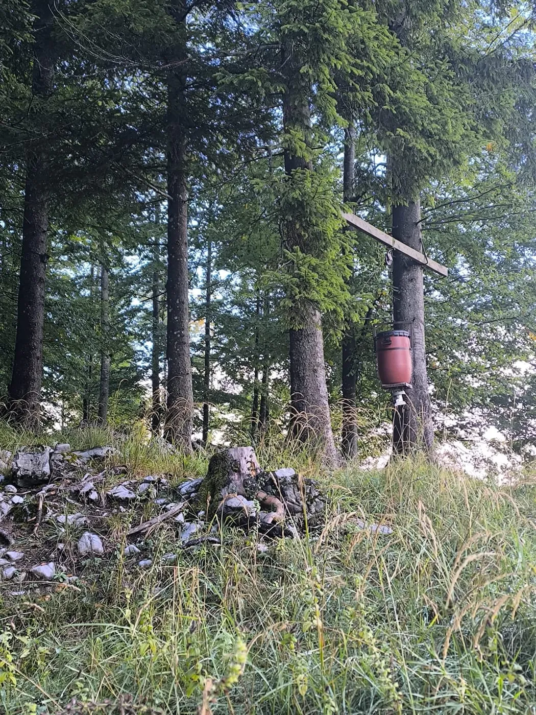 Roter Behälter an einem Baum am Waldrand