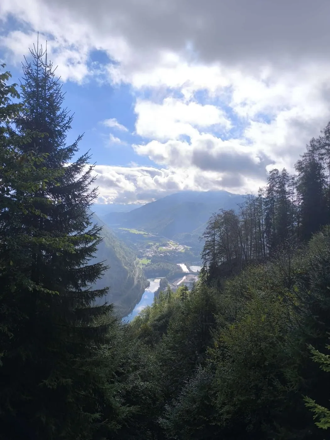 Blick durchs Geäst hinunter ins Steyrtal