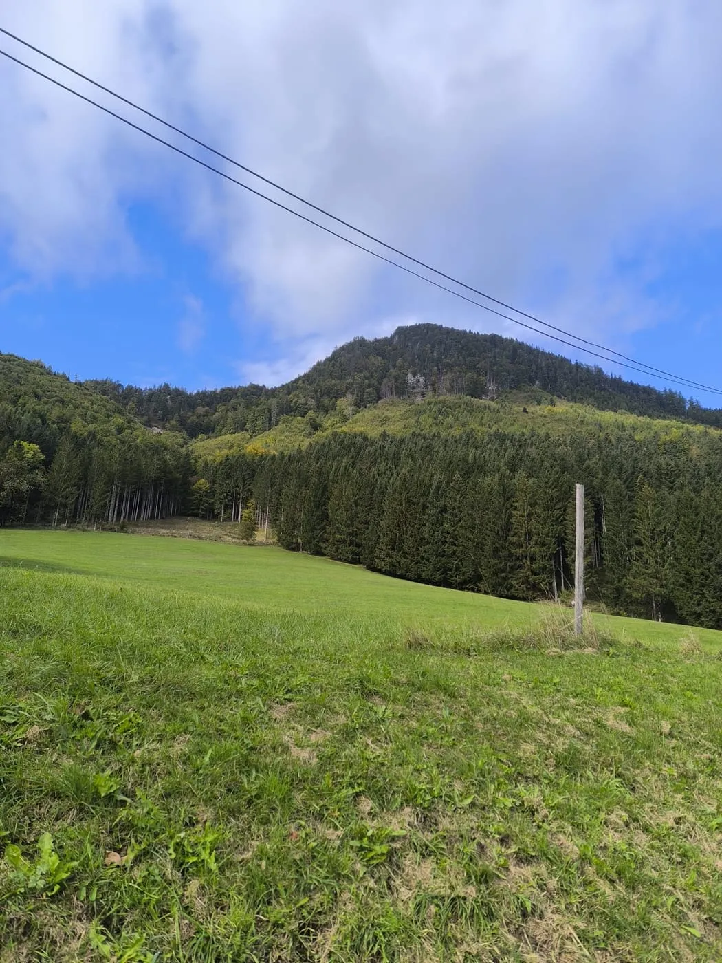 Blick von der Wiese auf den bewaldeten Keferspitz