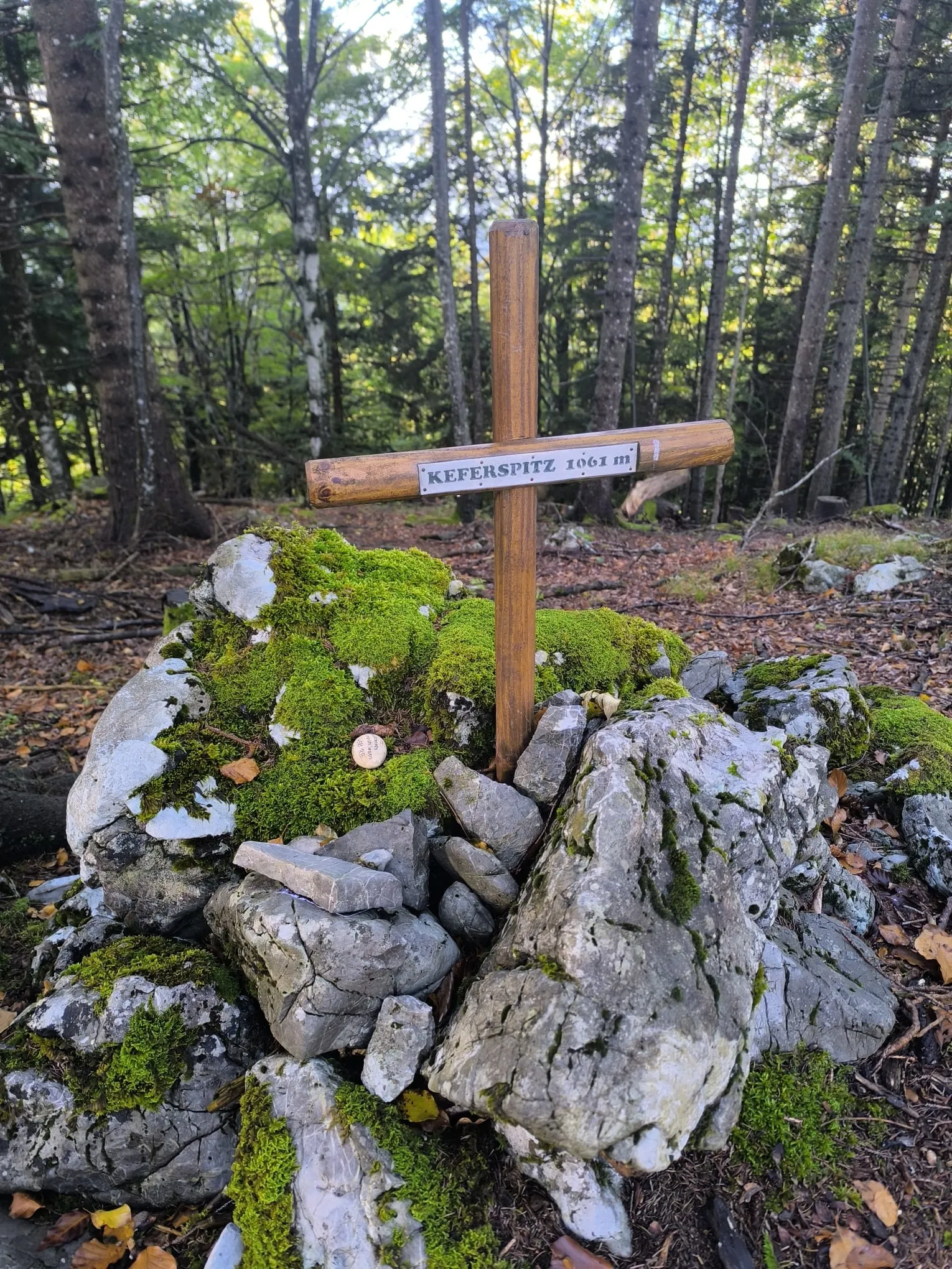 Das Gipfelkreuz am Keferspitz mit der Tafel Keferspitz 1061 m, mitten im Wald