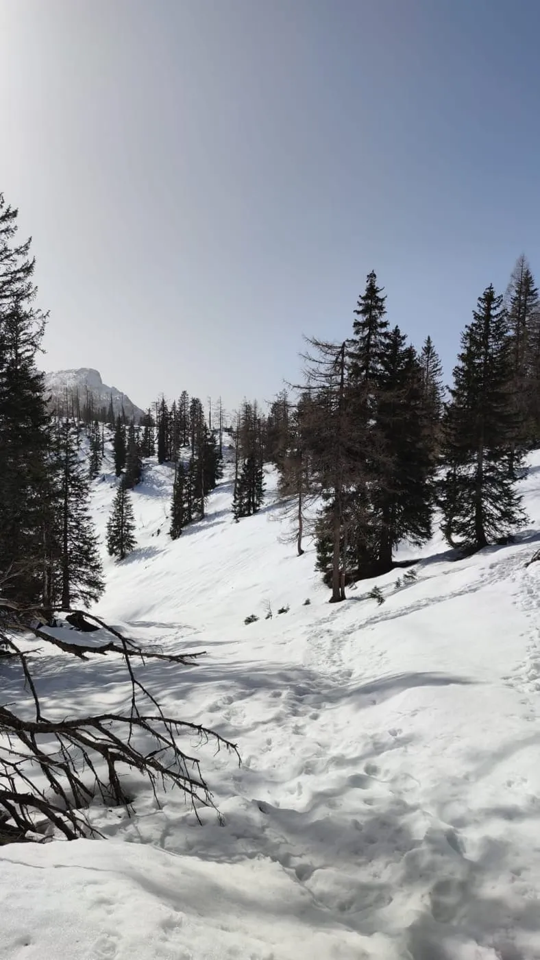Seespitz (1574m)